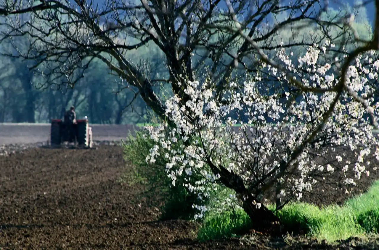 Венгрия требует от ЕС отменить пошлины на российские и белорусские удобрения