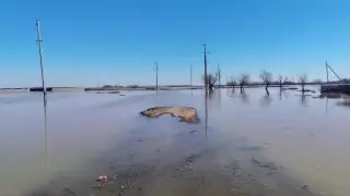 Мужчина пропал во время паводков в Акмолинской области  – его ищут водолазы