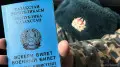 17-летние парни и некоторые женщины: в Казахстане заработал автоматический воинский учет